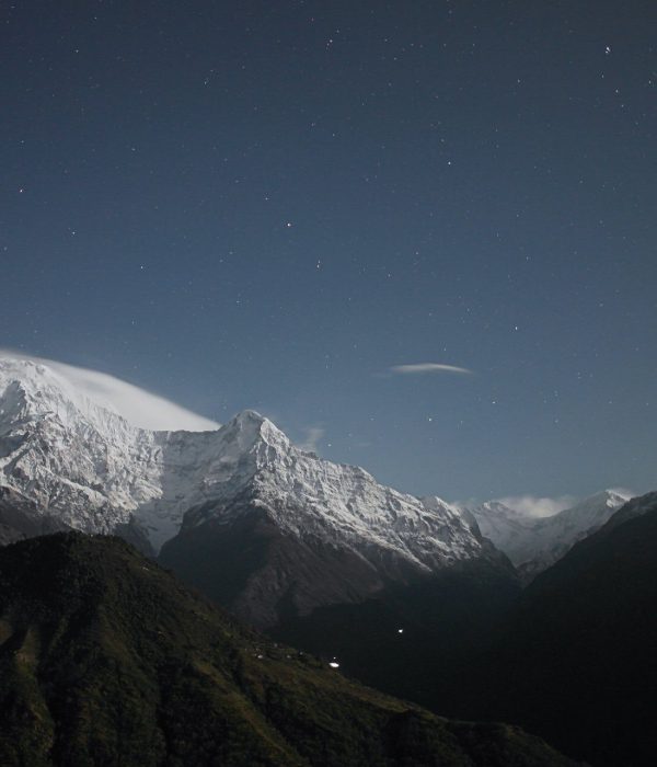 cropped-mt-sample-background-1.jpg